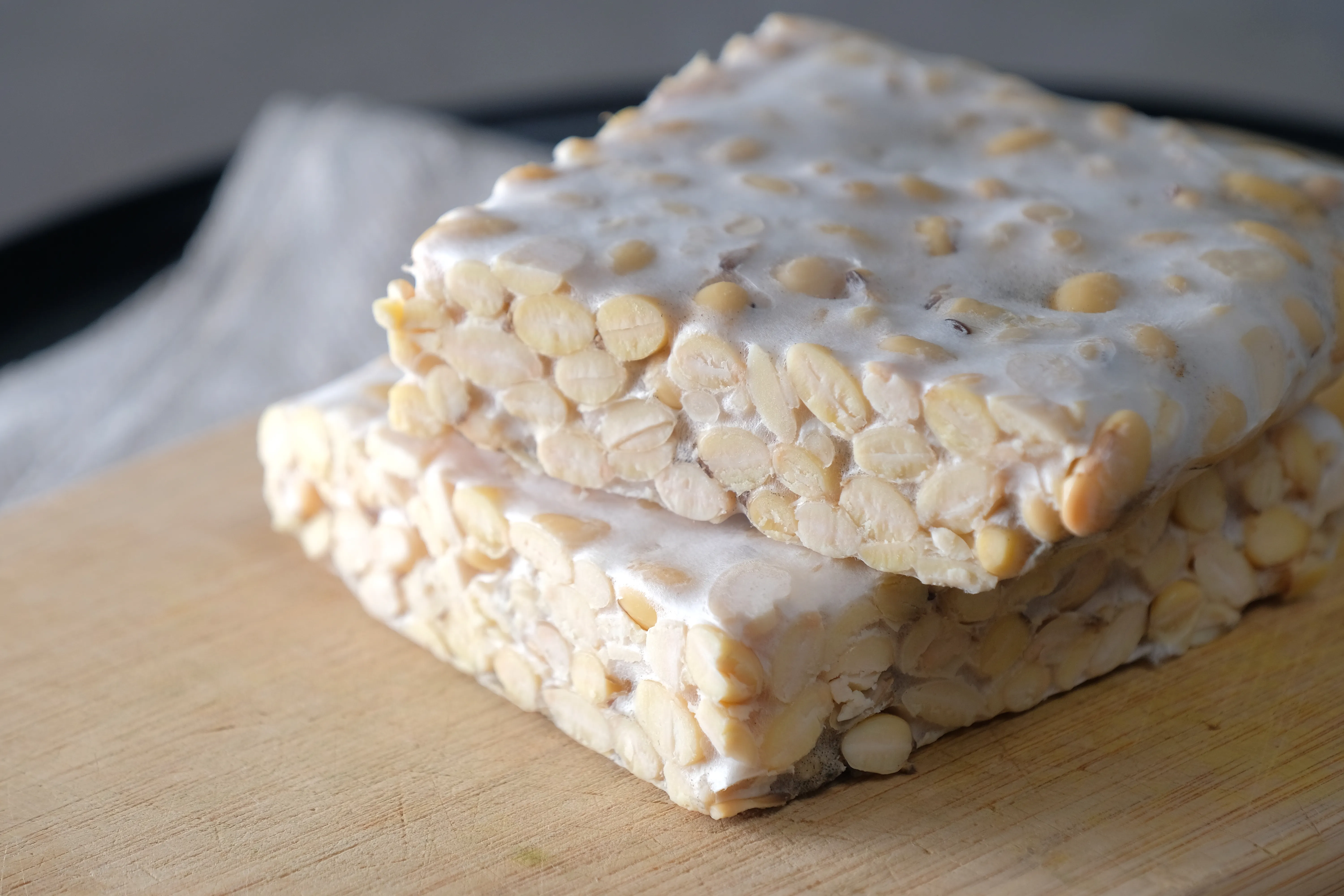 Produksi Tempe Zhi